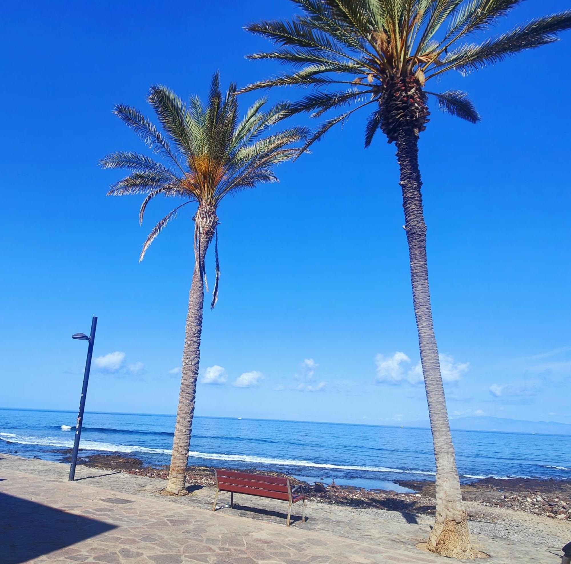 Parque Santiago 2 En Playa De Las Americas Arona  Exteriör bild